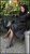 Beylikdüzü Türbanlı Escort